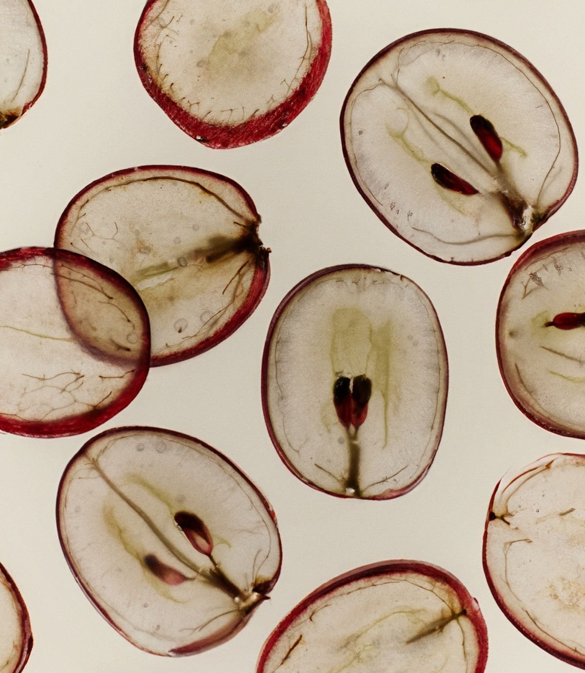 Grape Seed Extract